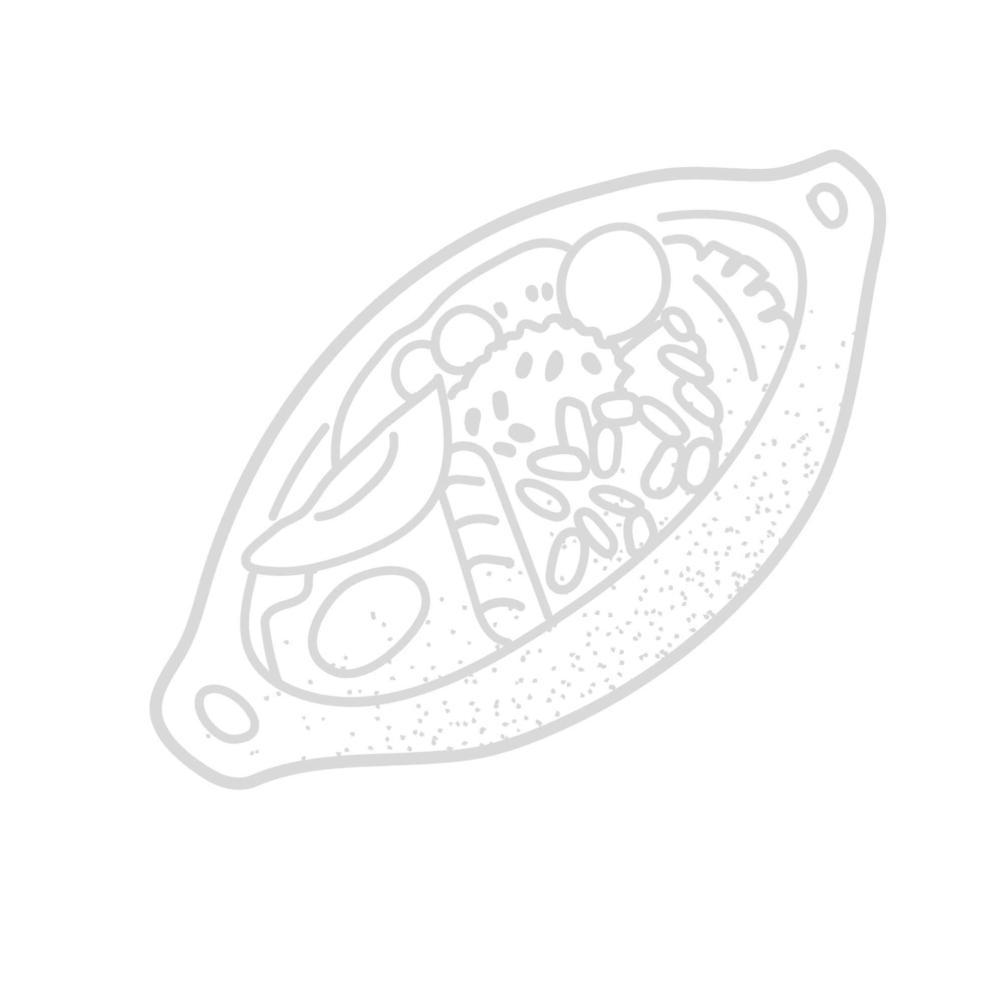 Diseño sin título (38)